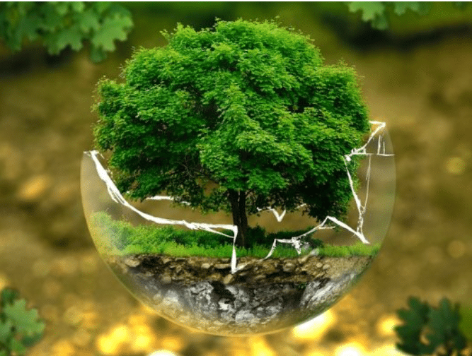 Заштита животне средине